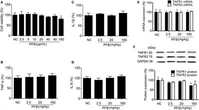 Inhibition of Epithelial TNF-α Receptors by Purified Fruit Bromelain Ameliorates Intestinal Inflammation and Barrier Dysfunction in Colitis